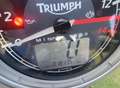 Triumph Street Triple 675 Bianco - thumbnail 12