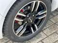 Microcar Due brommobiel | 2023 | 1dkm | Garantie 45km auto Wit - thumbnail 19