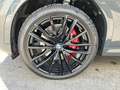 BMW X6 xDrive40d G06 Grau - thumbnail 8