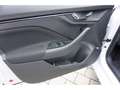 Skoda Scala 1.0 TSI Drive DSG Navi LED ACC Kamera SHZ PDC DAB Weiß - thumbnail 11