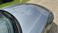BMW Z4 s-drive 2.5 l 2009 luxe Grau - thumbnail 20