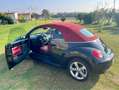 Volkswagen New Beetle New Beetle Cabrio 1.9 tdi limited Red Edition Rouge - thumbnail 1