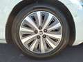 Skoda Superb Combi 2.0 TSI DSG Style AHK MatrixLED Nav Weiß - thumbnail 12