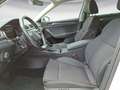 Skoda Superb Combi 2.0 TSI DSG Style AHK MatrixLED Nav Weiß - thumbnail 8