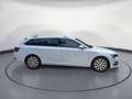 Skoda Superb Combi 2.0 TSI DSG Style AHK MatrixLED Nav Weiß - thumbnail 6