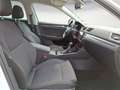 Skoda Superb Combi 2.0 TSI DSG Style AHK MatrixLED Nav Weiß - thumbnail 9