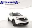 Citroen C5 Aircross BlueHDi 130 S&S EAT8 Shine Weiß - thumbnail 1