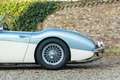 Austin-Healey 3000 MKI Overdrive BN7 PRICE REDUCTION "Two seater" Two Blau - thumbnail 25