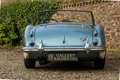 Austin-Healey 3000 MKI Overdrive BN7 PRICE REDUCTION "Two seater" Two Blau - thumbnail 40