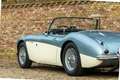 Austin-Healey 3000 MKI Overdrive BN7 PRICE REDUCTION "Two seater" Two Blau - thumbnail 47