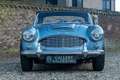 Austin-Healey 3000 MKI Overdrive BN7 PRICE REDUCTION "Two seater" Two Blau - thumbnail 5