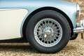 Austin-Healey 3000 MKI Overdrive BN7 PRICE REDUCTION "Two seater" Two Blau - thumbnail 16