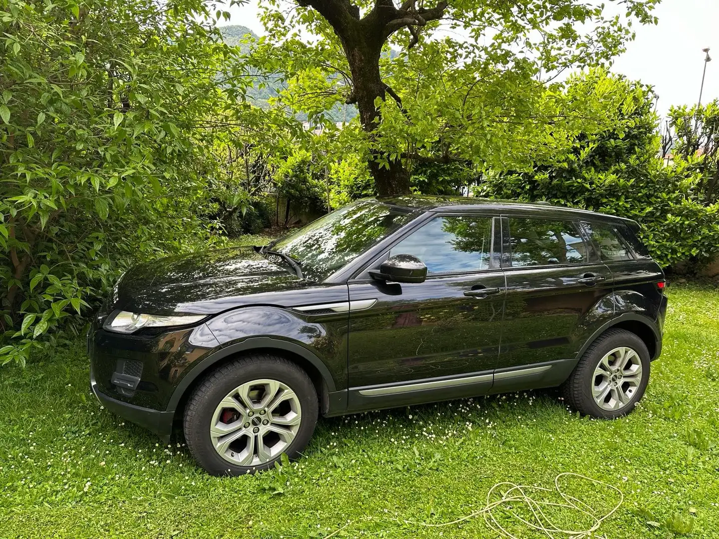 Land Rover Range Rover Evoque Range Rover Evoque I 2011 5p 2.2 td4 Dynamic 150cv Nero - 1