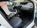 Lancia Ypsilon 1.0 firefly hybrid Silver PREZZO REALE IVA INCLUSA - thumbnail 11