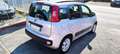 Fiat Panda Panda 1.2 Easy CLIMA CITY Argento - thumbnail 4