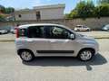 Fiat Panda Panda 1.2 Easy CLIMA CITY Argento - thumbnail 7