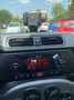 Fiat Panda Panda 1.2 Easy CLIMA CITY Argento - thumbnail 15
