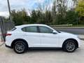Alfa Romeo Stelvio 2.2 TD 210cv AT8 Q4 B-Tech (TETTO APRIBILE) Blanc - thumbnail 8