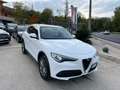 Alfa Romeo Stelvio 2.2 TD 210cv AT8 Q4 B-Tech (TETTO APRIBILE) Blanc - thumbnail 1