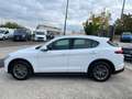 Alfa Romeo Stelvio 2.2 TD 210cv AT8 Q4 B-Tech (TETTO APRIBILE) Blanc - thumbnail 4