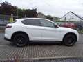 Alfa Romeo Stelvio Q4 2.0 Turbo 16V Lusso Wit - thumbnail 5