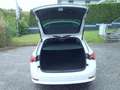 Skoda Octavia Ambition NAVI, 4x SHZ, PDC, TEMP, TEL, ALU Weiß - thumbnail 25