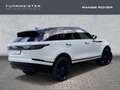 Land Rover Range Rover Velar D300 Dyn. HSE Fuji White Pano HUD Weiß - thumbnail 2