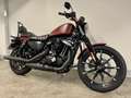 Harley-Davidson Sportster XL 883 XL883N IRON Rosso - thumbnail 8