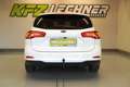 Ford Focus Turnier 1.5 EcoBl. Titanium "AHK*SITZH*NAVI*ACC*T Weiß - thumbnail 5