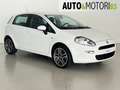 Fiat Punto 1.2 8V 5 porte Easy Bianco - thumbnail 3