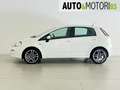Fiat Punto 1.2 8V 5 porte Easy Bianco - thumbnail 7
