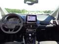 Ford EcoSport 1.0 EcoBoost 125 CV Start&Stop ST-Line Gris - thumbnail 11