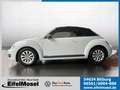 Volkswagen Beetle Cabrio 1.4 TSI Sport Navi Klima Leder Weiß - thumbnail 2