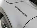 Alfa Romeo Junior 1.2 ibrida Speciale 145cv edct6 Gris - thumbnail 16