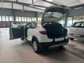 Kia Stonic 1.2 ECO GPL Urban ANCHE NEOPATENTATI Blanc - thumbnail 16