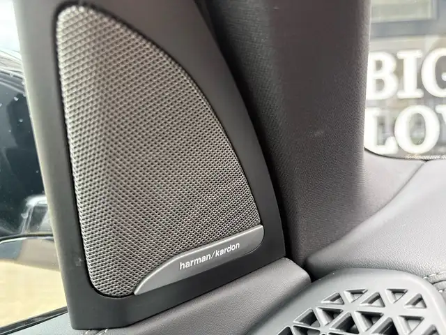BMW X5 X5 view 11