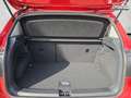 Volkswagen T-Cross 1.0 TSI 85 kW Life DSG Kessy ACC  17"Manila 85 ... Rot - thumbnail 14