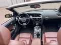 Audi A5 Cabrio 3.0 TDI DPF quattro S tronic, S-line Brown - thumbnail 8
