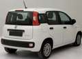 Fiat Panda Panda 1.0 firefly hybrid Blanc - thumbnail 3