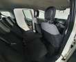 Fiat Panda Panda 1.0 firefly hybrid Blanc - thumbnail 12