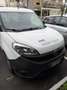 Fiat Doblo 1.9 mjt Active 105cv - thumbnail 4