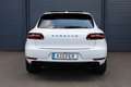 Porsche Macan AWD/PANO/APPLE/LED/NAVI/SHZ/KAMERA/TTW/R21 Weiß - thumbnail 5