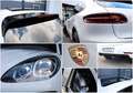 Porsche Macan AWD/PANO/APPLE/LED/NAVI/SHZ/KAMERA/TTW/R21 Weiß - thumbnail 8