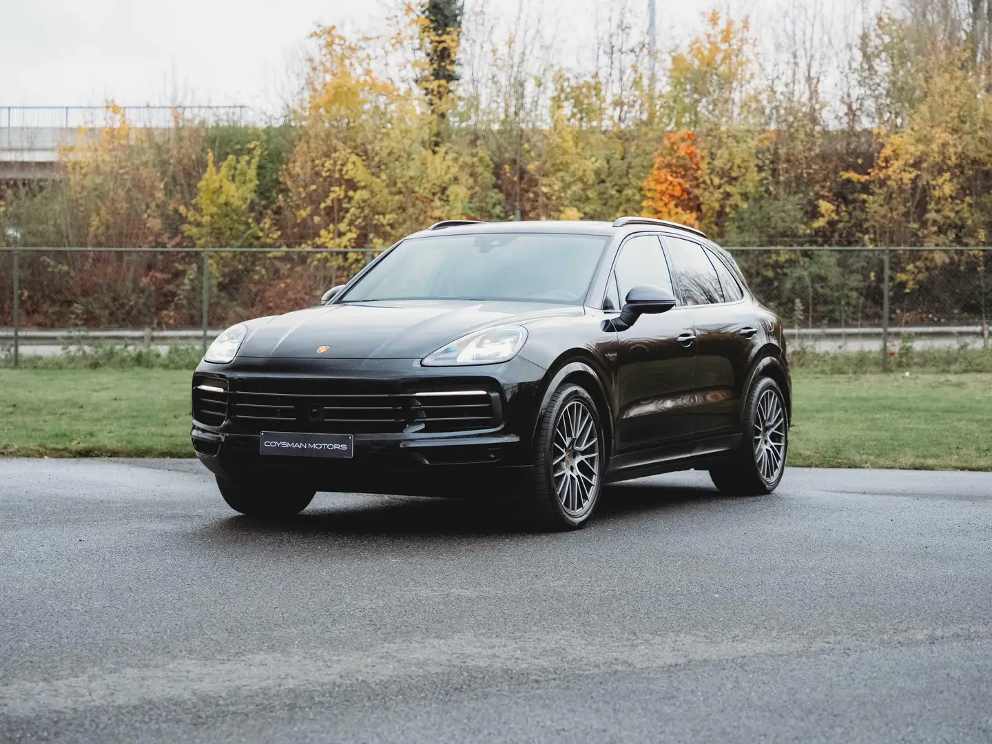 Porsche Cayenne E-hybridPlatinumEdition/Sportuitl./21"/Bose/Pano Noir - 2