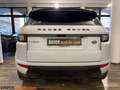Land Rover Range Rover Evoque Range Rover Evoque 2.0 TD4 180 CV 5p. HSE Dynamic Blanc - thumbnail 5