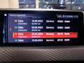 BMW X2 X2 F39 xdrive20d Msport auto Nero - thumbnail 14