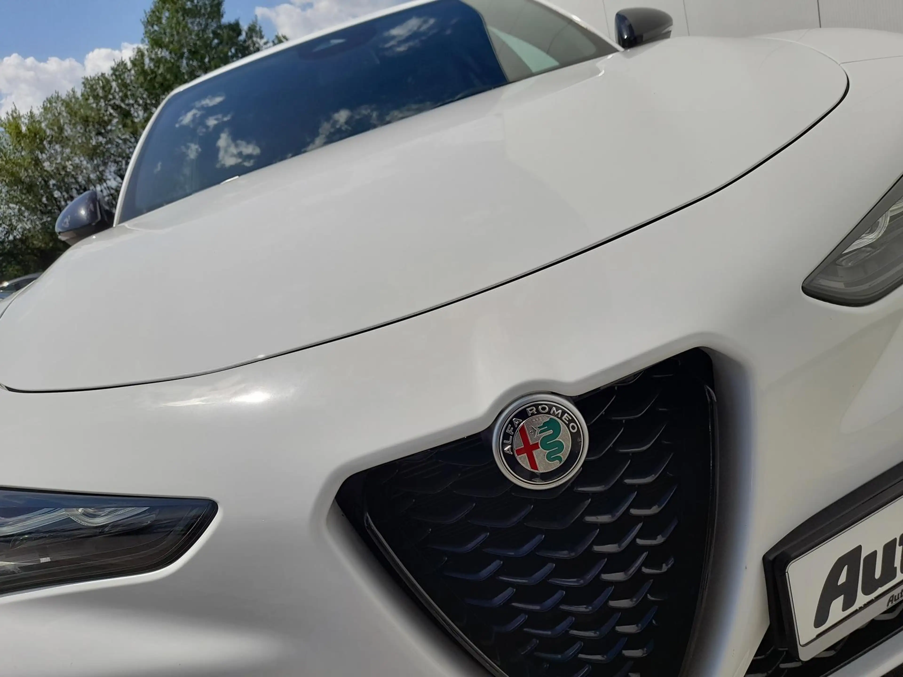 Alfa Romeo Stelvio 2.2 Veloce NAVI~AHK~RFK~ACC~ALU20"~APP — photo 11