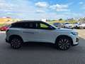 Renault Austral AUSTRAL Techno Full Hybrid E-Tech 200 (MY25) Weiß - thumbnail 4