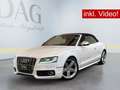 Audi S5 Cabriolet 3.0 TFSI quattro +B&O+CARBON+NAVI+ Alb - thumbnail 1