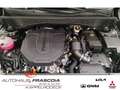 Kia Sorento Platinum 2.2 4WD (P2,P3,P4) Navi Leder ACC 360grad Noir - thumbnail 13